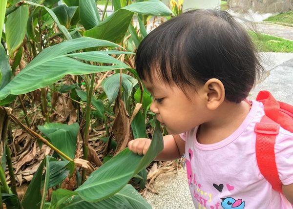 Going Outdoor: Exploring Nature